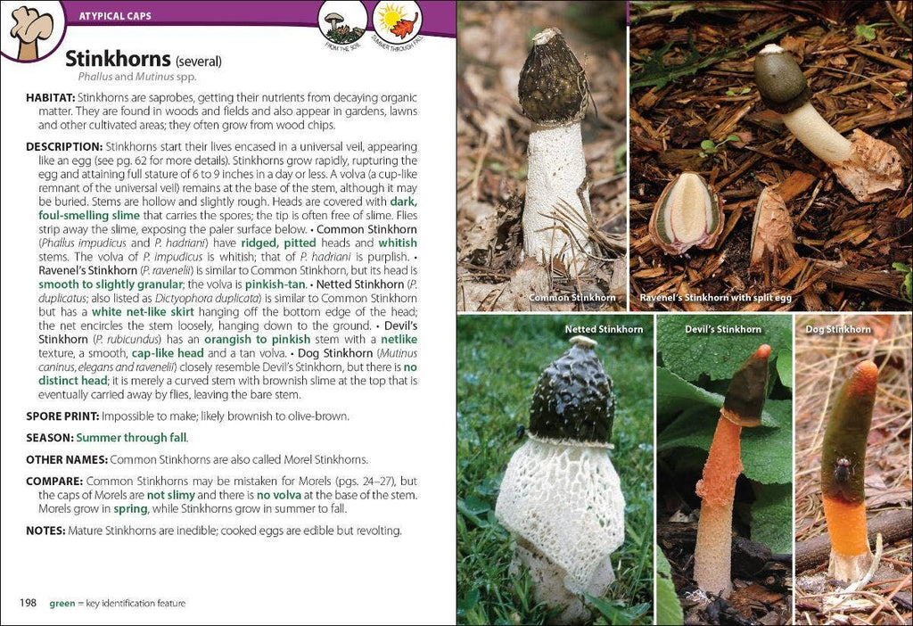 Mushrooms of Upper Midwest 2e