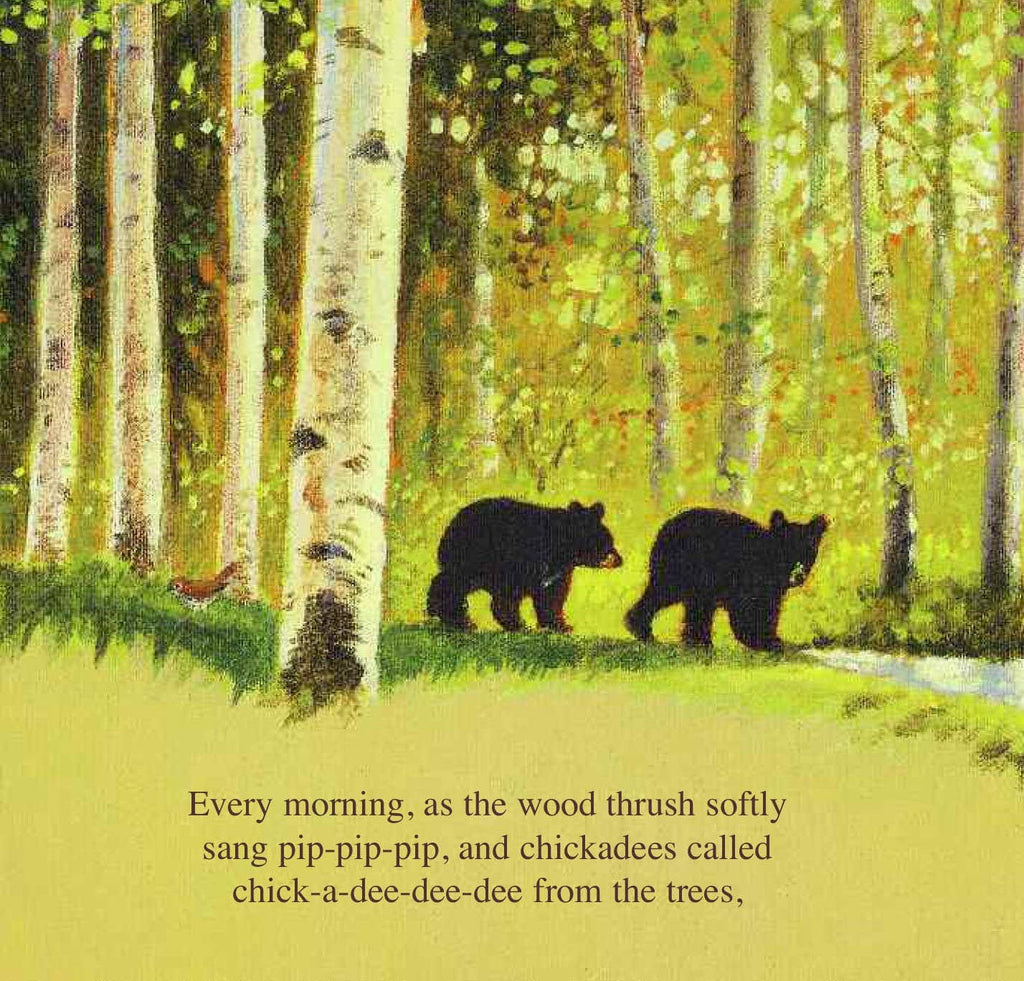 The Legend of Sleeping Bear, a picture book