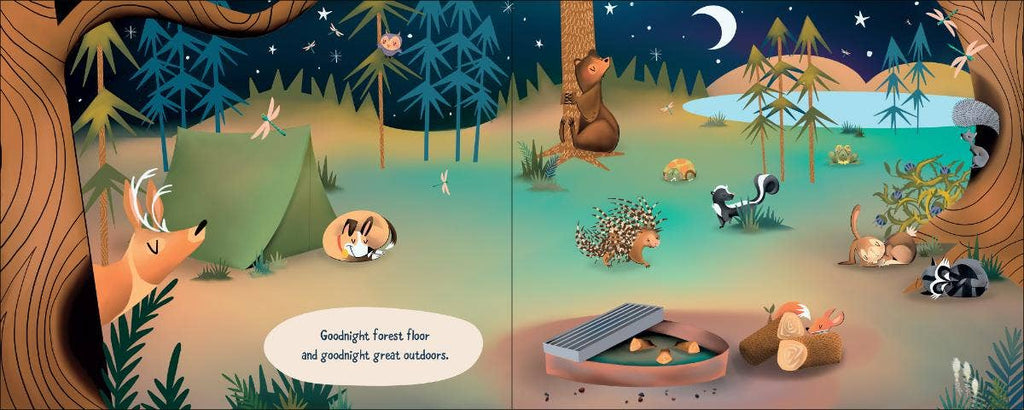 Goodnight Great Outdoors Board Book