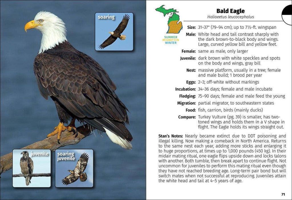 Birds of Michigan Field Guide 3e