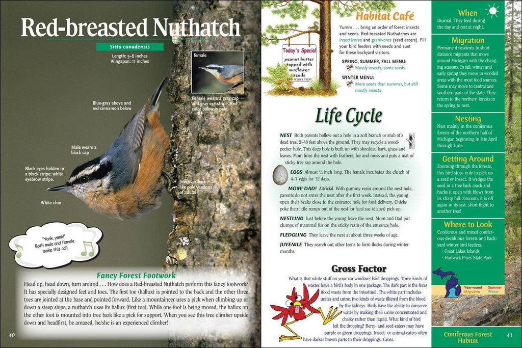 Wild About Michigan Birds