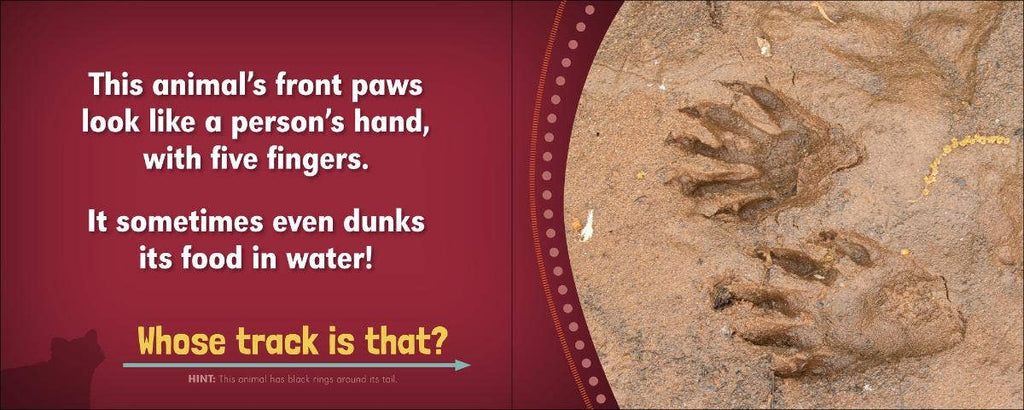 Whose Track Is That?