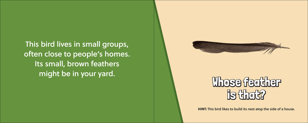 Whose Feather Is That?