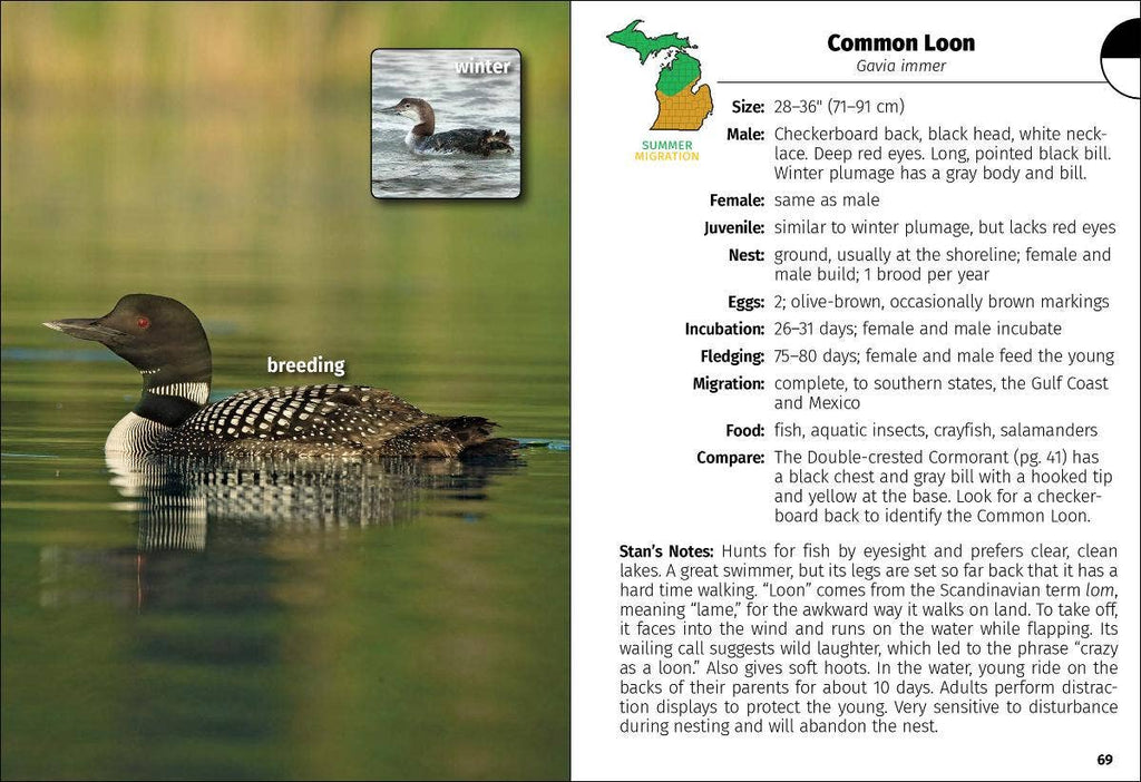 Birds of Michigan Field Guide 3e