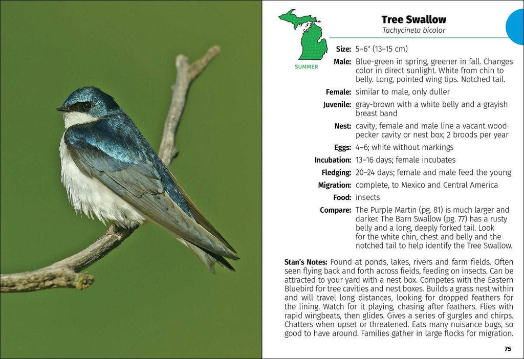 Birds of Michigan Field Guide 3e