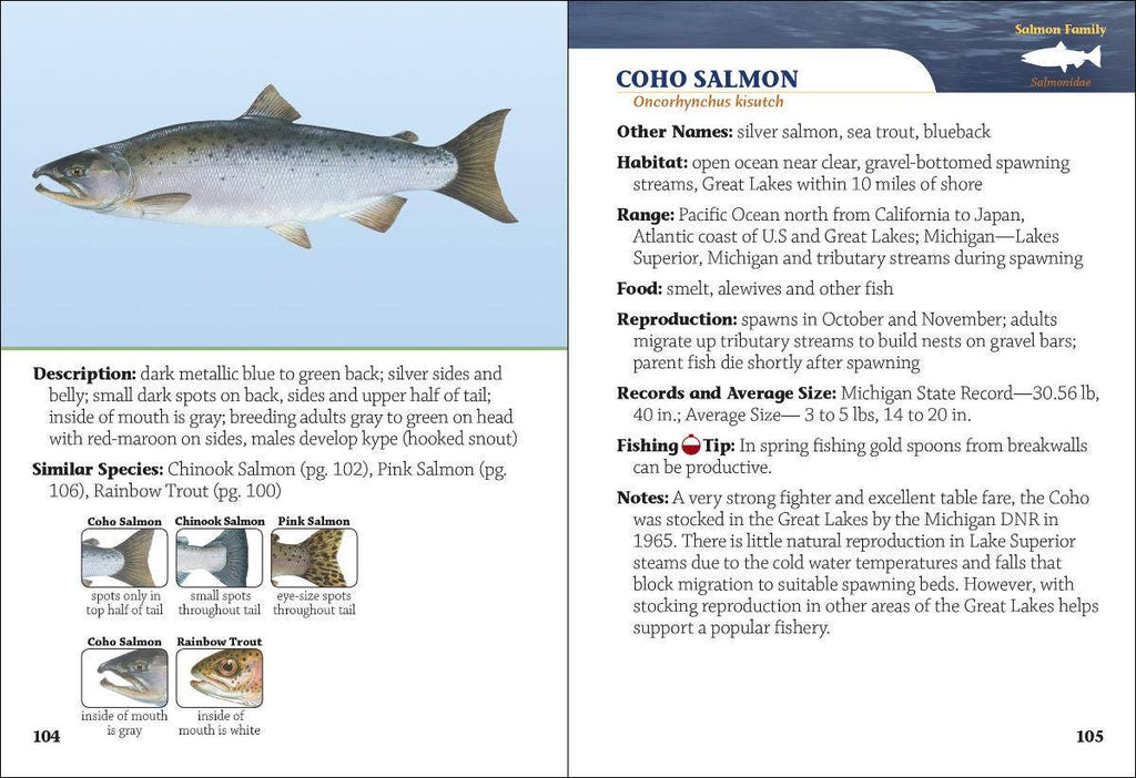 Fish of Michigan Field Guide 2e