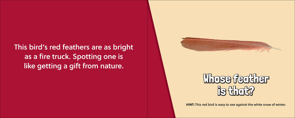 Whose Feather Is That?