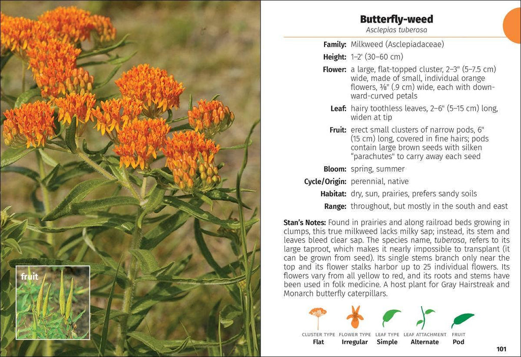 Wildflowers of Michigan FG 2e