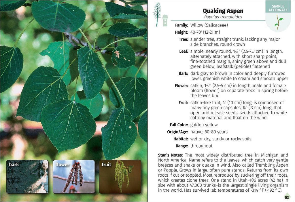 Trees of Michigan Field Guide 2e