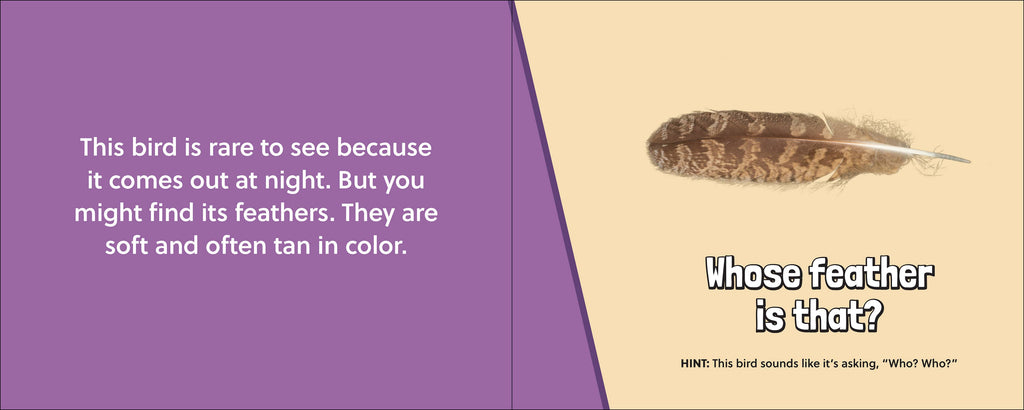 Whose Feather Is That?