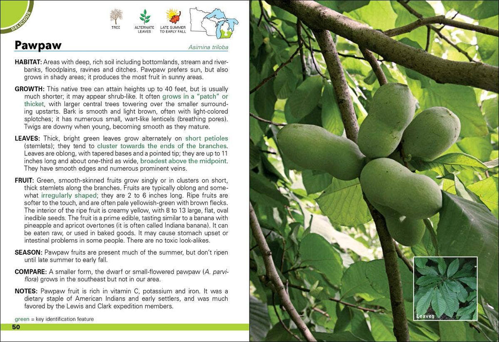 Wild Berries & Fruits of MN, WI, MI 2e