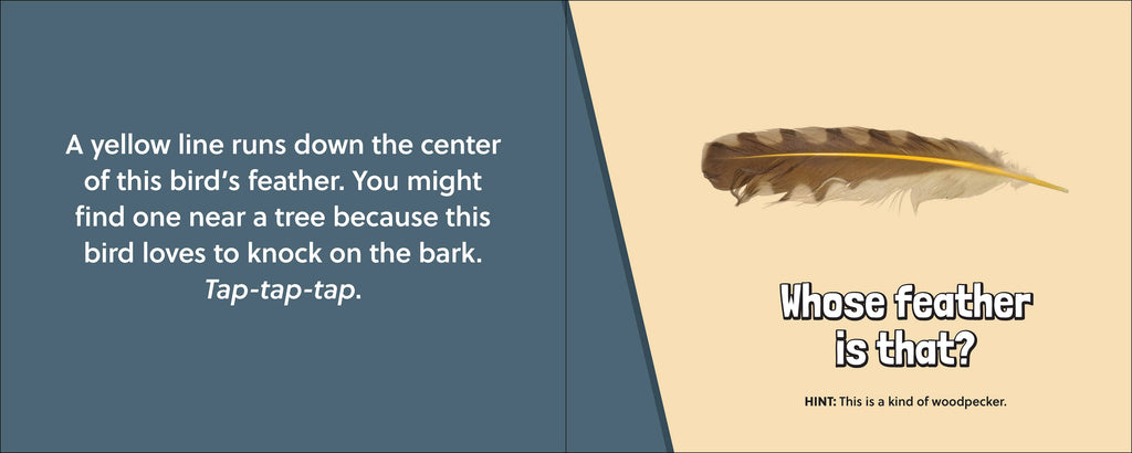 Whose Feather Is That?