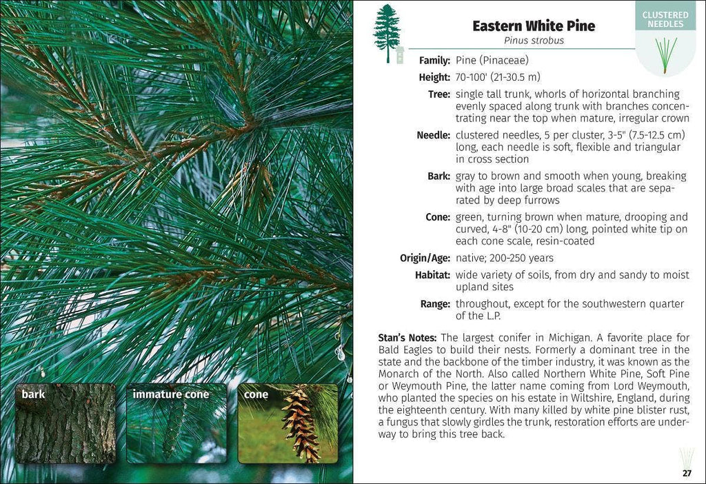 Trees of Michigan Field Guide 2e