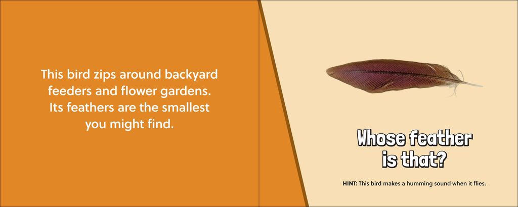 Whose Feather Is That?