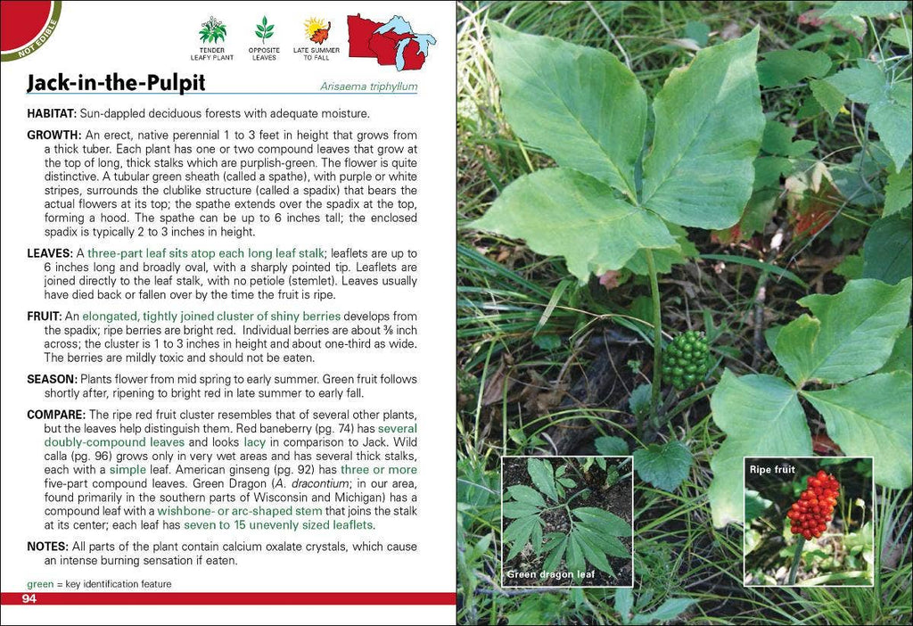 Wild Berries & Fruits of MN, WI, MI 2e