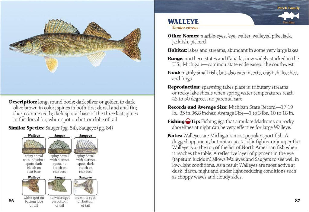 Fish of Michigan Field Guide 2e