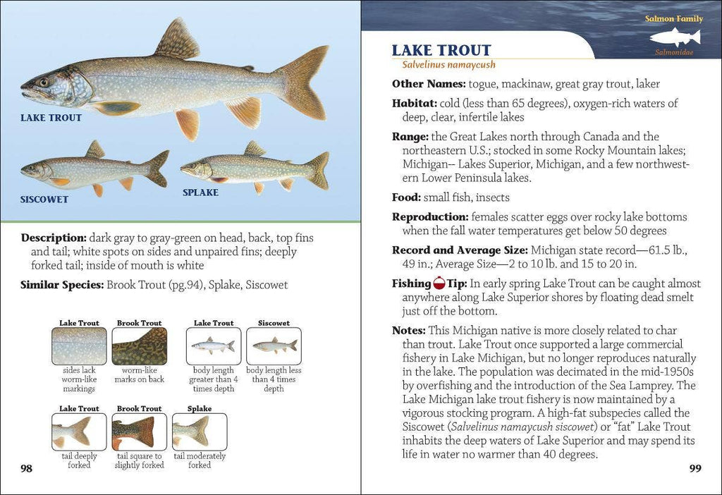 Fish of Michigan Field Guide 2e