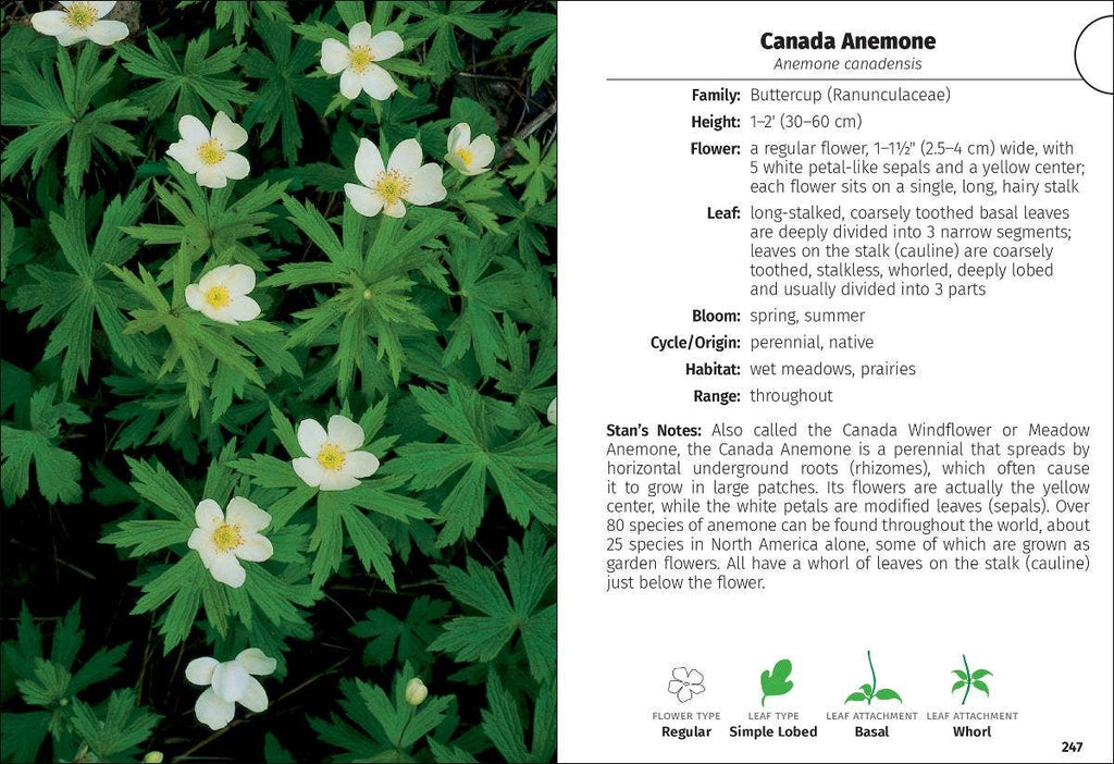 Wildflowers of Michigan FG 2e