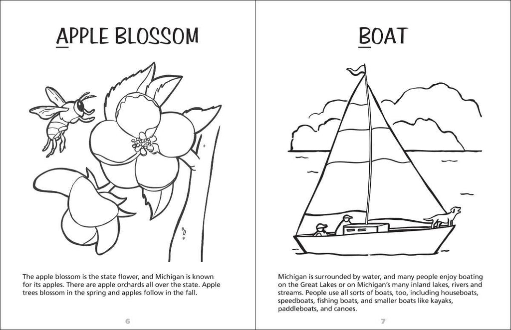 Michigan Activity Book