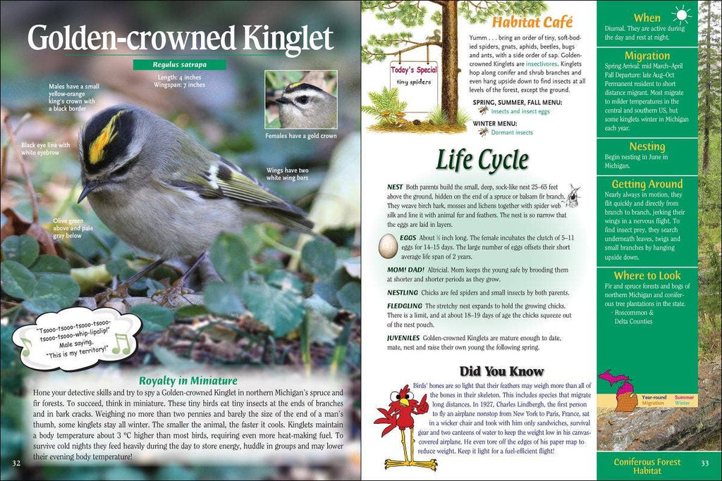 Wild About Michigan Birds