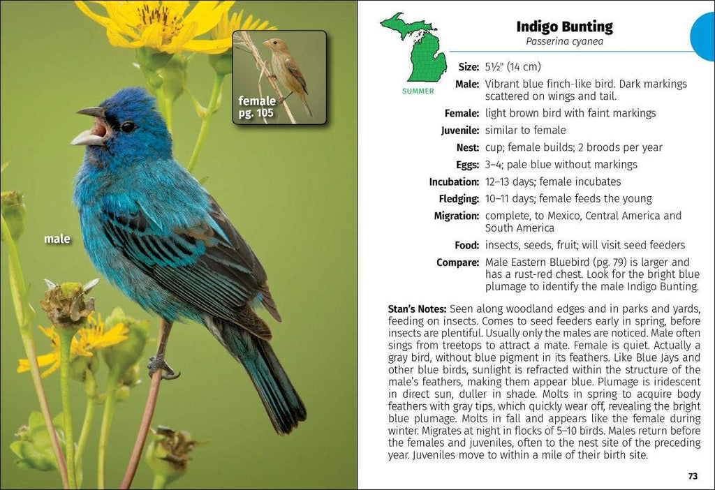 Birds of Michigan Field Guide 3e