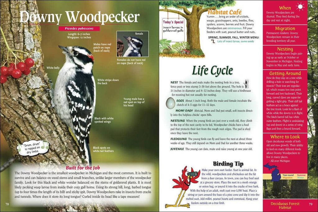 Wild About Michigan Birds