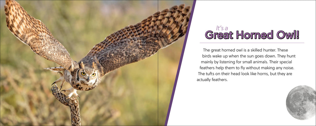 Whose Feather Is That?