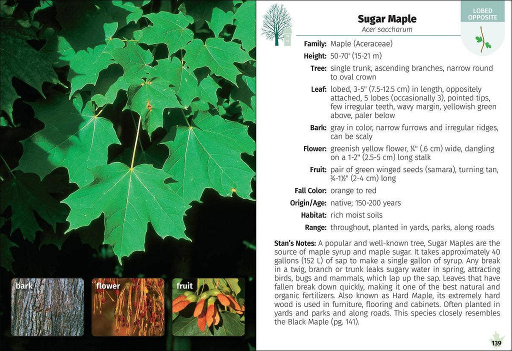 Trees of Michigan Field Guide 2e