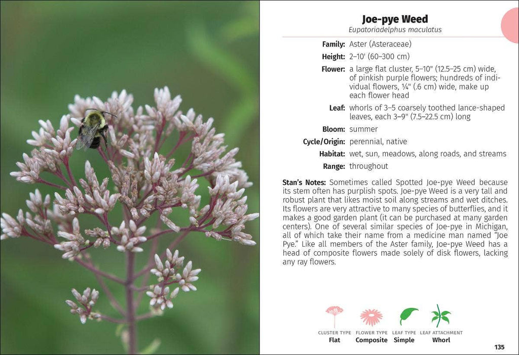 Wildflowers of Michigan FG 2e