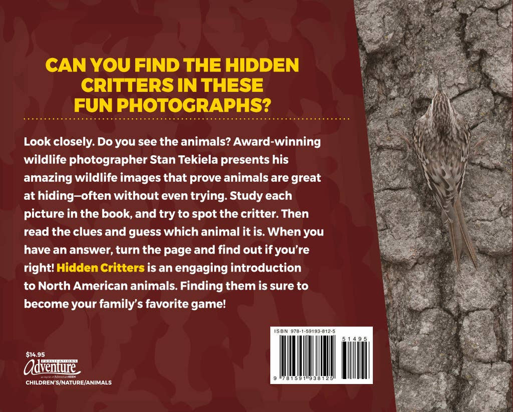 Hidden Critters - Children's Picture Book