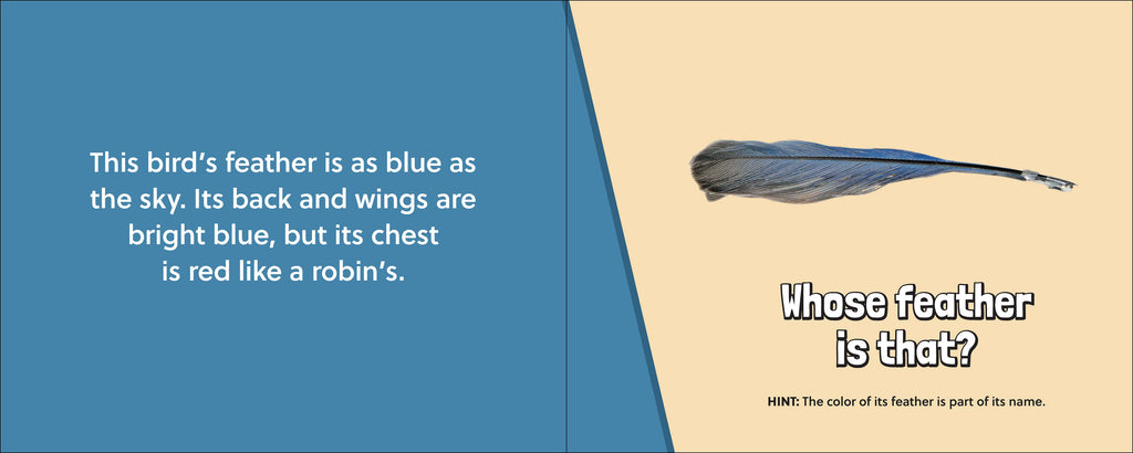 Whose Feather Is That?