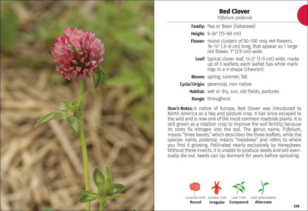 Wildflowers of Michigan FG 2e