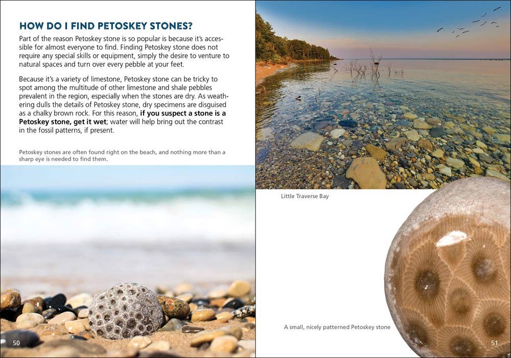 Petoskey Stone