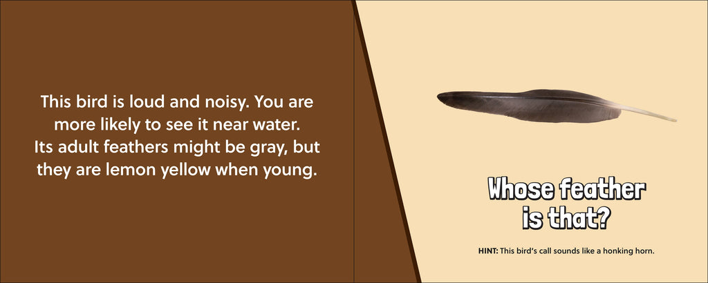 Whose Feather Is That?