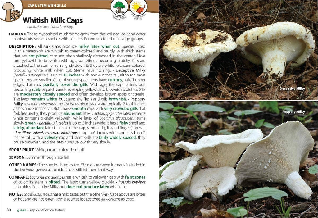 Mushrooms of Upper Midwest 2e