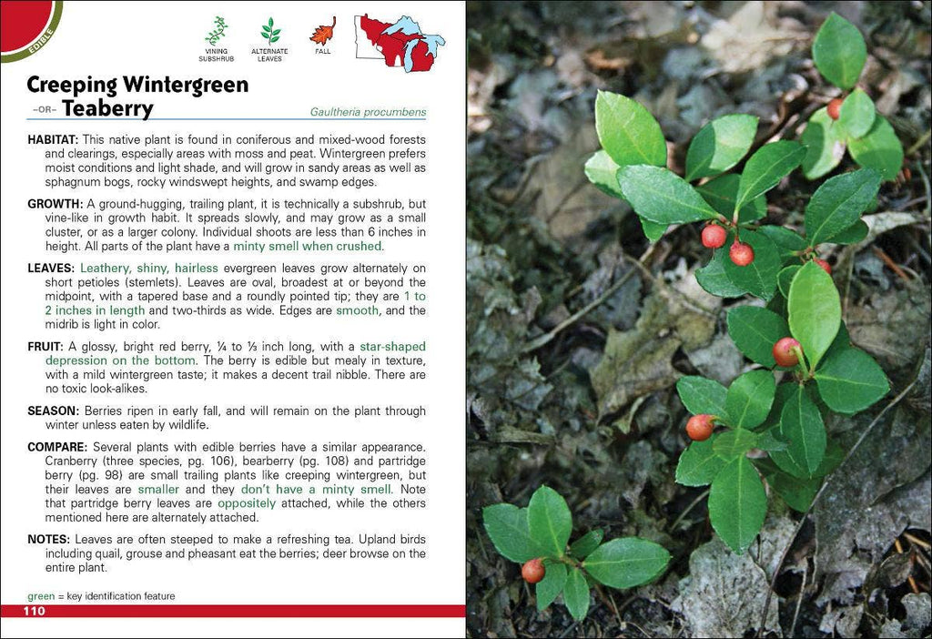 Wild Berries & Fruits of MN, WI, MI 2e