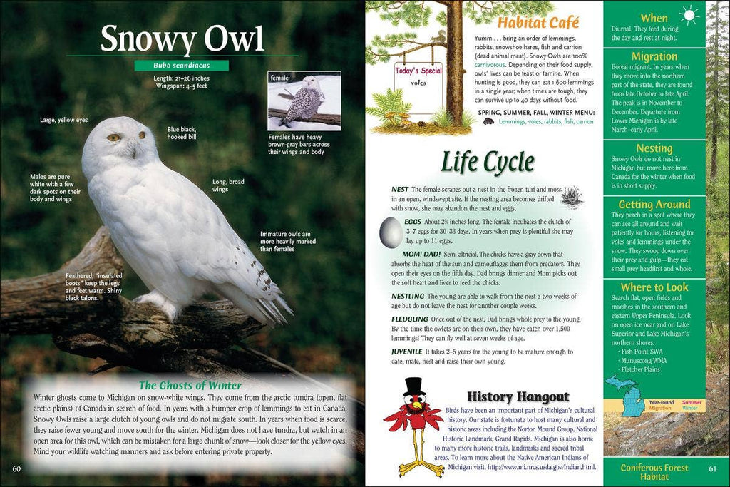 Wild About Michigan Birds