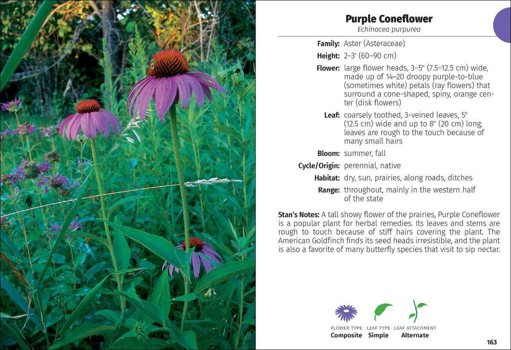 Wildflowers of Michigan FG 2e