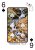 WATERFALLS OF MICHIGAN - Playing Cards - Euchre Friendly