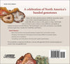 Wonder of North American Agates