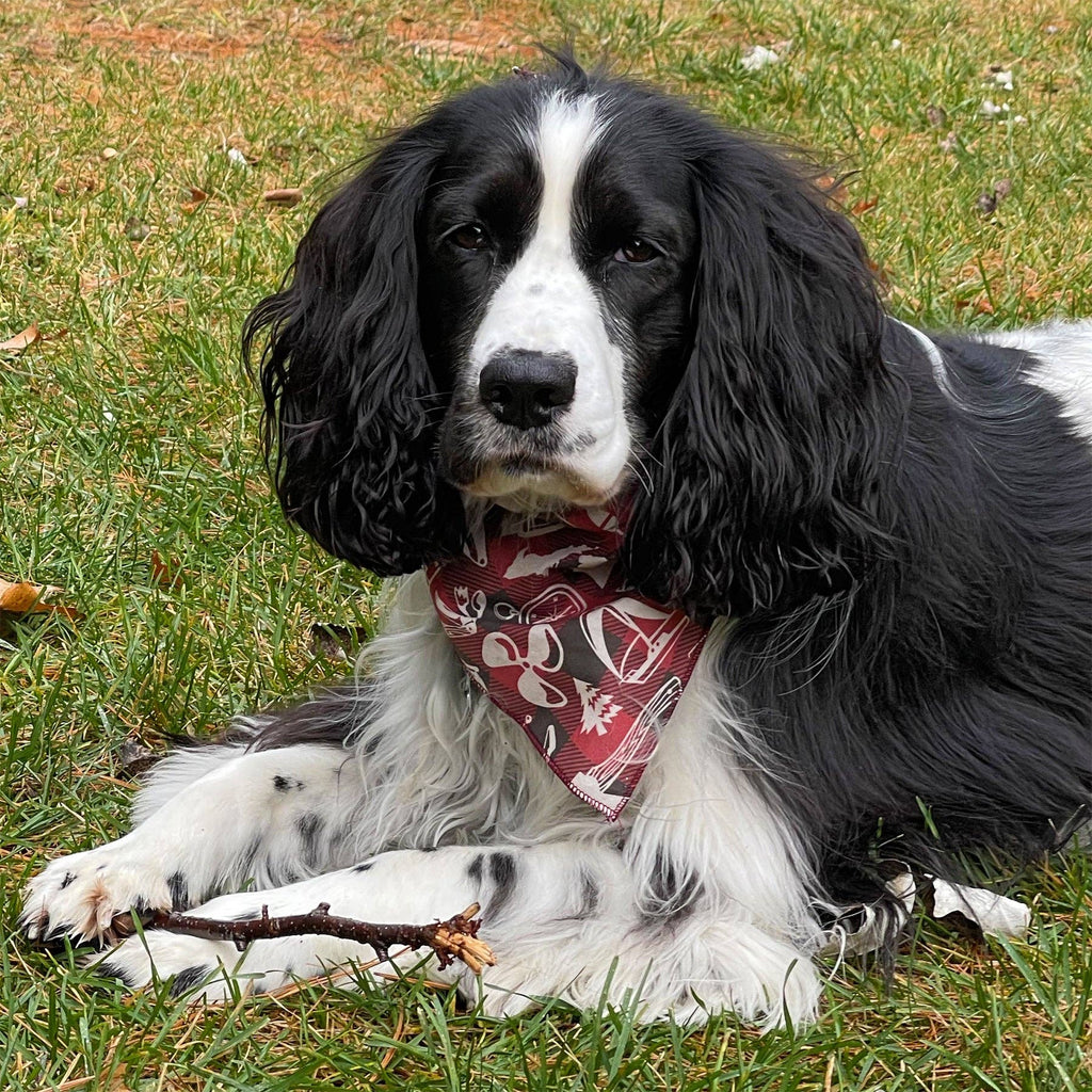 Michigan Pet Bandana