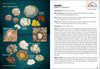 Lake Superior Rocks & Minerals 2e