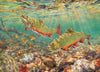 Brook Trout 1000pc puzzle