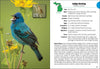 Birds of Michigan Field Guide 3e