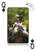 WATERFALLS OF MICHIGAN - Playing Cards - Euchre Friendly