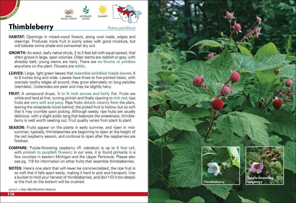 Wild Berries & Fruits of MN, WI, MI 2e