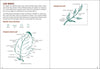Trees of Michigan Field Guide 2e